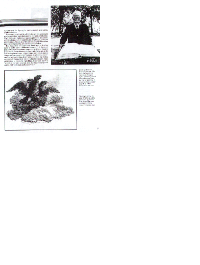 Under the Triple Eagle page 4